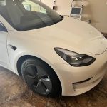 2021 Tesla Model 3 Standard Range Plus - $32,850 (Naples)