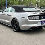 2020 Ford Mustang EcoBoost Premium 2dr Convertible Financing available (Imlay city)